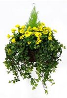 Artificial Silk Pansy Deluxe Large Hanging Basket - Yellow Pansies