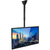 Techly Telescopic Ceiling Support up to 1.6m LED TV LCD 23-42" ICA-CPLB 922L