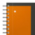Oxford International A4+ Polypropylen doppelspiralgebundenes Managerbook, Projektlineatur, 80 Blatt, grau, SCRIBZEE® kompatibel