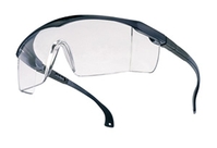BASIC Schutzbrille TECTOR, EN 166, Sichtscheibe klar