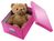 Leitz Click Store Medium Storage Box Pink 60440023