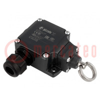 Limit switch; No.of mount.holes: 2; 40mm