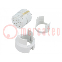 Connector: M23; contact insert; PIN: 12; female; soldering; 8A; 200V