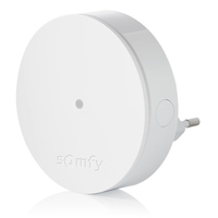 Somfy 2401495 accessorio per unità di controllo centrale smart home