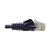 Tripp Lite N001-003-PU Cat5e 350 MHz Snagless Molded (UTP) Ethernet Cable (RJ45 M/M), PoE - Purple, 3 ft. (0.91 m)