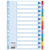 Esselte Multi-coloured Cardboard Dividers schutkaart 10 stuk(s)