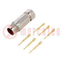 Connector: M23; plug; PIN: 6; male; crimped; for cable; straight; 25A