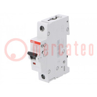 Circuit breaker; 230VAC; Inom: 25A; Poles: 1; Charact: B; 6kA; IP20