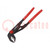 Pliers; adjustable,Cobra adjustable grip; Pliers len: 250mm