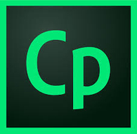 Adobe Captivate Abonnement Meertalig 12 maand(en)