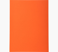 Exacompta 420207E fichier Carton Orange A4