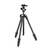 Manfrotto Element MII háromlábú fotóállvány Okostelefon/digitális fényképezőgép 3 láb(ak) Fekete