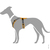 Hunter Maldon L Grau, Orange Nylon Hund Halftergeschirr