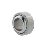 Radial spherical plain bearings GE10 -FW