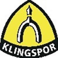 KLINGSPOR 321654 Lamellenschleifscheibe SMT 325 125x22,2m K.40 INOX