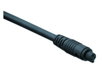 Sensor-Aktor Kabel, Kabeldose auf offenes Ende, 5-polig, 2 m, PVC, schwarz, 3 A,