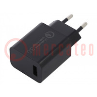 Caricabatterie: USB; Ualim: 100÷240VAC; 5VDC,9VDC,12VDC; Conn: USB