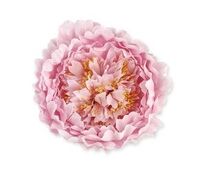 Artificial Silk Peony Head XL - 22cm, Light Pink