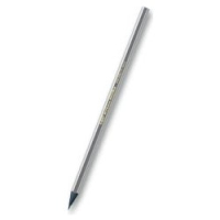 BIC Ecolutions Evolution Black colour pencil 12 pc(s)
