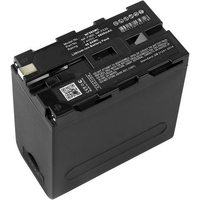 CoreParts MBXCAM-BA421 batería para cámara/grabadora Ión de litio 6600 mAh
