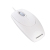 CHERRY WHEELMOUSE OPTICAL Corded Mouse, Pale Grey, PS2/USB
