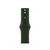 Apple 40mm Cyprus Green Sport Band - Regular Groen Fluorelastomeer