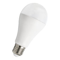 LED Ecobasic A65 E27 20W (142W) 2452lm 827 Opal