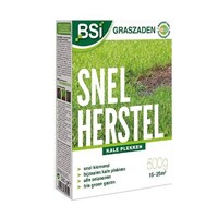 BSI Graszaad Snel Herstel - 1 Kg