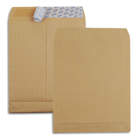 GPV Boîte de 250 pochettes kraft armé C4 Blanches avec 3 soufflets