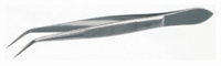 Pince brucelle pointue en acier inox 18/10 Version Courbé