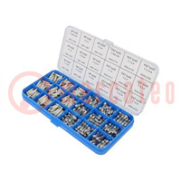 Fuse: fuse; cylindrical; 270pcs; Kit contents: fuses