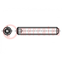 Screw; M10x16; 1.5; Head: without head; hex key; HEX 5mm; steel