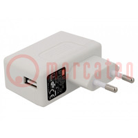 Power supply: switching; mains,plug; 5VDC; 2.4A; 12W; Plug: EU; 80%