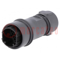 Connector: circular; plug; male; PIN: 22; w/o contacts; for cable