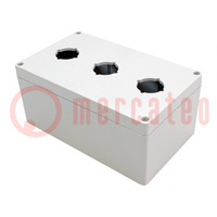 Enclosure: for remote controller; IP66; UL94-5V; X: 120mm; Y: 200mm