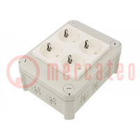 Carcasa: caja de conexiones; X: 116mm; Y: 150mm; Z: 67mm; IP30