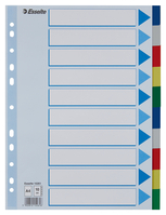 Plastikregister Blanko, A4, PP, 10 Blatt, farbig