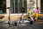 Ninebot by Segway E2 D II Schwarz, Grau, Orange 20 km/h