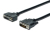 ASSMANN Electronic AK-320202-020-S cable DVI 2 m DVI-D Negro