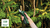 Bosch EasyPrune pruning shears Bypass Black, Green