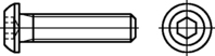 Halbrundkopfschrauben mit Innensechskant 010.9 nach IS... zn-getemp. M12x50mm HP