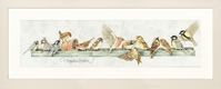 Counted Cross Stitch Kit: The Pecking Order