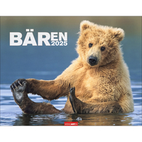 WEINGARTEN Bildkalender 2025 3312264+25 Bären 44x34cm