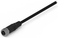Sensor-Aktor Kabel, M12-Kabeldose, gerade auf offenes Ende, 8-polig, 2 m, PVC, s