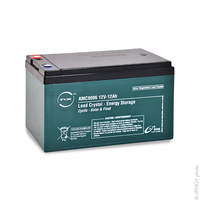 Batterie(s) Batterie lead crystal 6-CNFJ-12 12V 12Ah M5-F