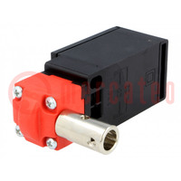 Safety switch: hinged; FR