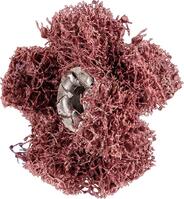 Ściernica Trzpieniowa włókninowa Polinox