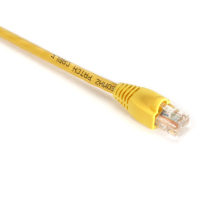 Black Box 100ft Cat5e networking cable Yellow 30.4 m