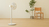 Xiaomi Pedestal Fan 2S Wit