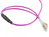 Alcasa LW-P8100LC4 InfiniBand/fibre optic cable 100 m 2x LC OM4 Violet